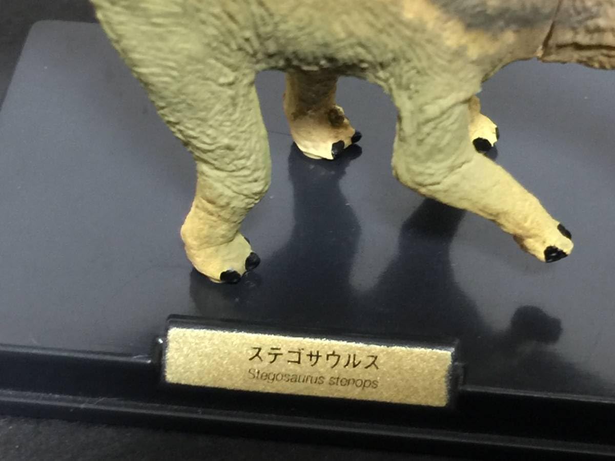 Amazon | 原色大恐竜図鑑 ステゴサウルス フィギュア 立体カプセル百科